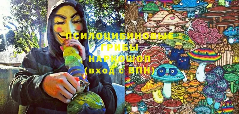 кракен как войти  Санкт-Петербург  Псилоцибиновые грибы Magic Shrooms 